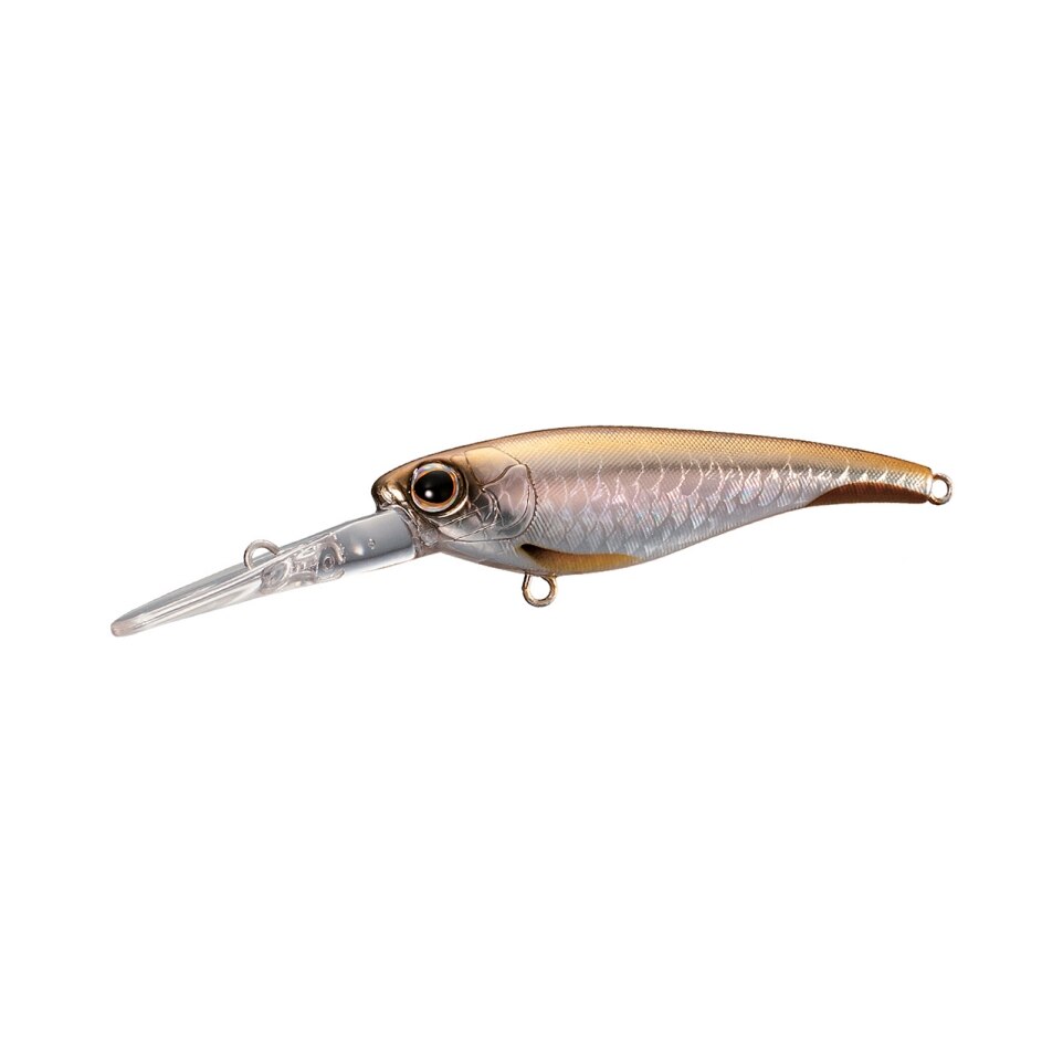 SHIMANO BANTAM PAVLO SHAD 59SP - COLOUR: 001 KYORIN WS