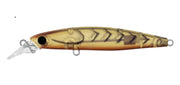 DAIWA INFEET SAZANAMI 60SP COLOUR BROWN SUJI UV