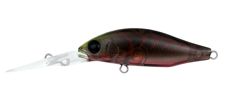 DAIWA INFEET SPIKE 44SP MR COLOUR SUJI BERRY