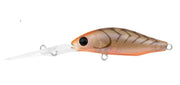 DAIWA INFEET SPIKE 44SP EXDR COLOUR BROWN SUJI UV
