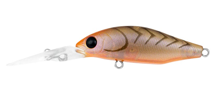 DAIWA INFEET SPIKE 44SP MR COLOUR BROWN SUJI UV