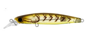 DAIWA INFEET SAZANAMI 60SP COLOUR MOEBI