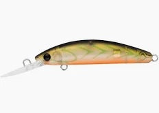 DAIWA DOUBLE CLUTCH 48SP COLOUR RISKY SUJI