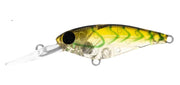 DAIWA INFEET KODACHI 40SF COLOUR SYDNEY SUJI