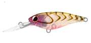 DAIWA INFEET KODACHI 40SF COLOUR ROSE SUJI