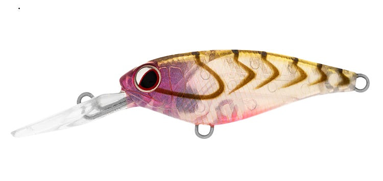 DAIWA INFEET KODACHI 40SF COLOUR ROSE SUJI