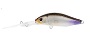 DAIWA INFEET SPIKE 44SP EXDR COLOUR WAKASAGI