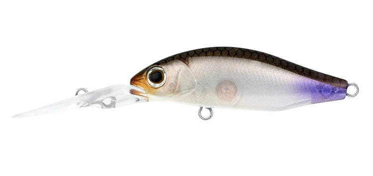 DAIWA INFEET SPIKE 44SP MR COLOUR WAKASAGI