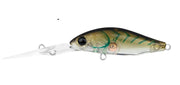 DAIWA INFEET SPIKE 44SP EXDR COLOUR BLUE SUJI PRAWN