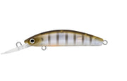 DAIWA DOUBLE CLUTCH 48SP COLOUR GHOST PERCH
