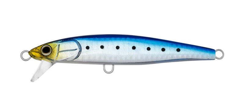 DAIWA SAWARASH 110HS COLOUR SARDINE