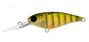 DAIWA INFEET KODACHI 40SF COLOUR SUNNY GILL