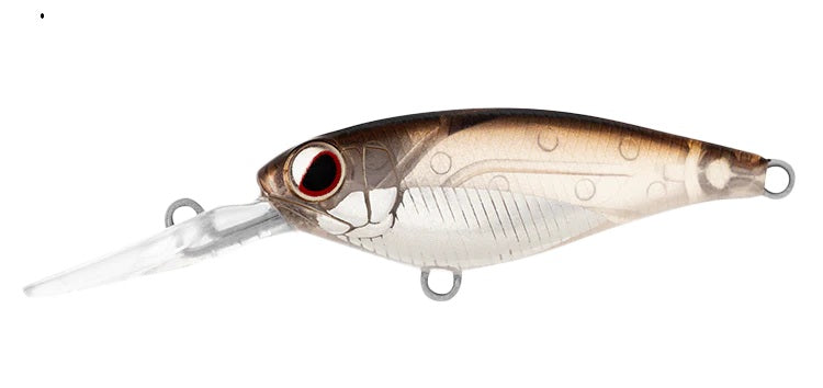 DAIWA INFEET KODACHI 40SF COLOUR CHROME BELLY
