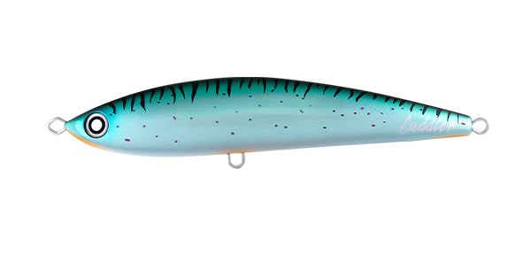 DAIWA SALTIGA CUDDLER 185F - COLOUR: SLIMY