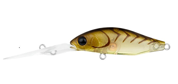 DAIWA INFEET SPIKE 44SP EXDR COLOUR MOEBI