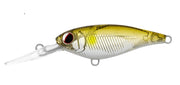 DAIWA INFEET KODACHI 40SF COLOUR ADEL AYU