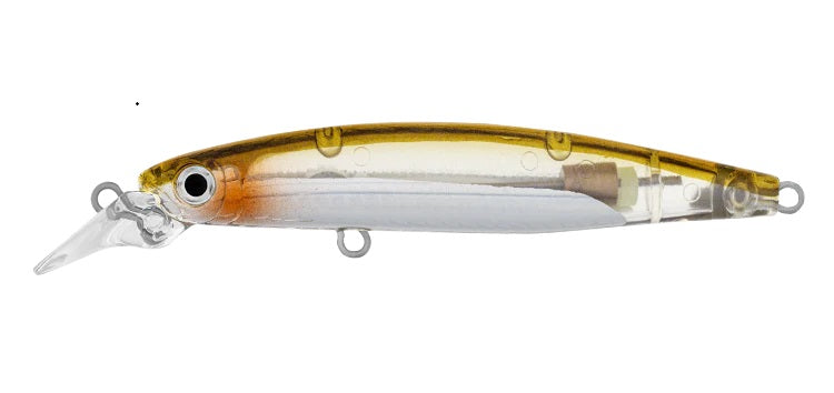 DAIWA INFEET SAZANAMI 60SP COLOUR ADEL RICE FISH