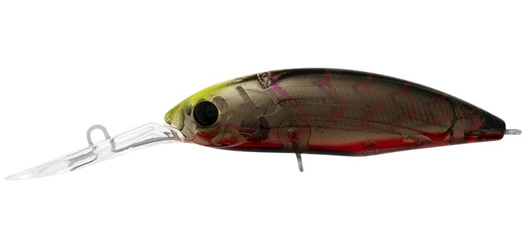 DAIWA INFEET SPIKE 53SP COLOUR SUJI BERRY