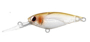 DAIWA INFEET KODACHI 40SF COLOUR ADEL RICE FISH