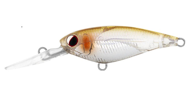 DAIWA INFEET KODACHI 40SF COLOUR ADEL RICE FISH