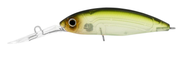 DAIWA INFEET SPIKE 53SP COLOUR GHOST AYU
