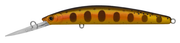 DAIWA DOUBLE CLUTCH 60SP COLOUR GOLDEN TROUT