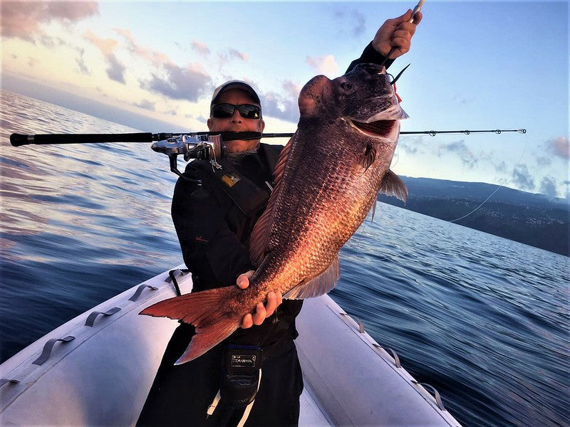 Zenaq Expedition EP55-14 JIGGING (SPIN MODEL)