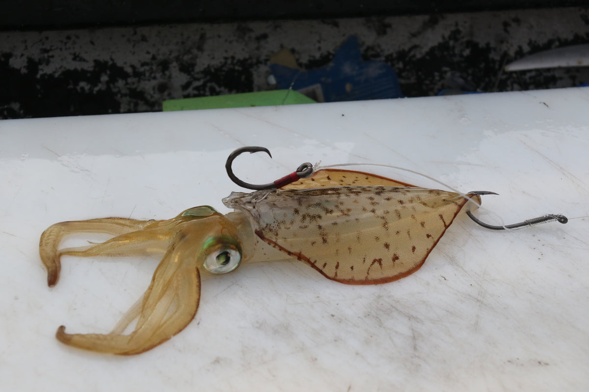 KONAN LIVE BAIT RIG (J-HOOK) #6/0