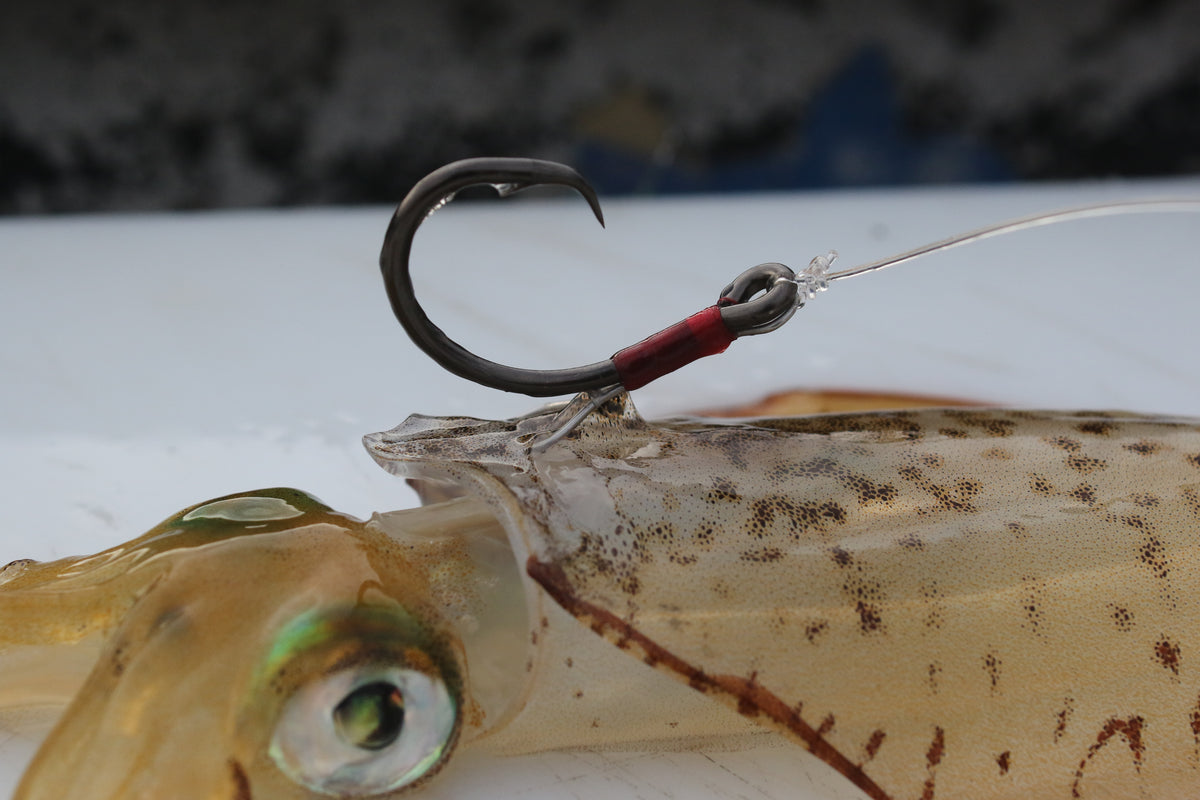 KONAN LIVE BAIT RIG (J-HOOK) #6/0