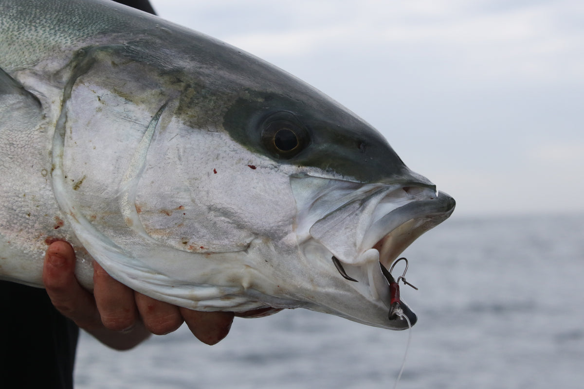 KONAN LIVE BAIT RIG (J-HOOK) #9/0