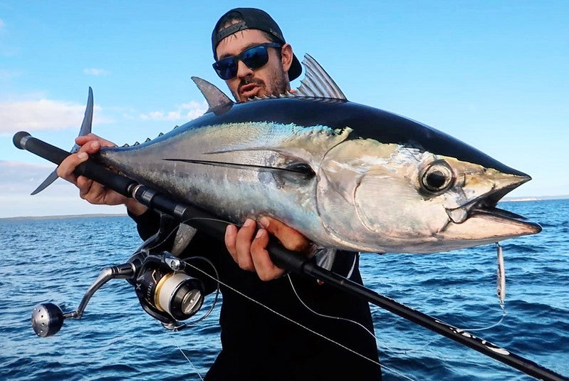 ZENAQ TOBIZO TC80-50G