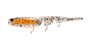 DAIWA BAIT JUNKIE PRAWN 5 INCH - COLOUR: 82 NIPPER UV
