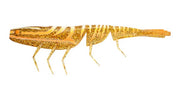 DAIWA BAIT JUNKIE PRAWN 7 INCH - COLOUR: 94 CHILLI PRAWN
