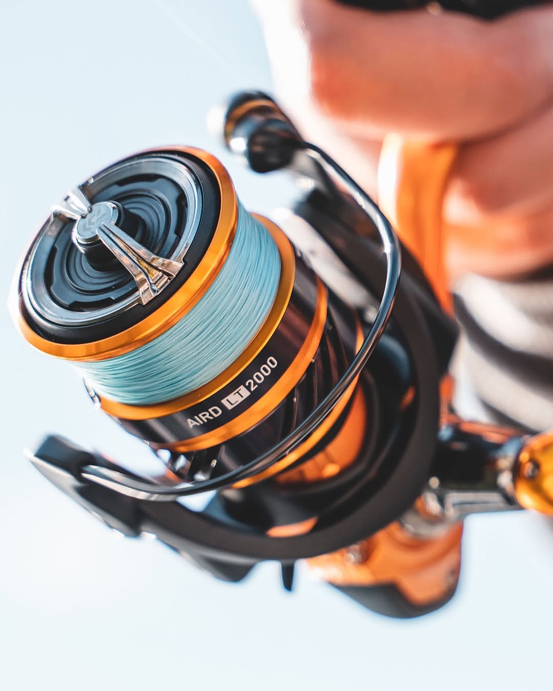 Reels
