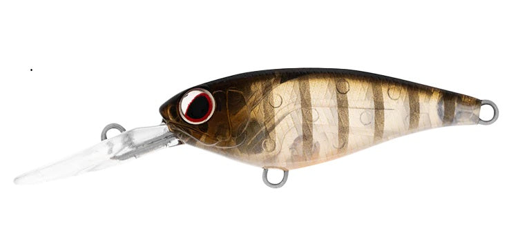 DAIWA INFEET KODACHI 40SF COLOUR GHOST PERCH