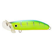 LIVE NATIVE LURES SKUTTLEBUTT 70 COLOUR BIDGY GLOW