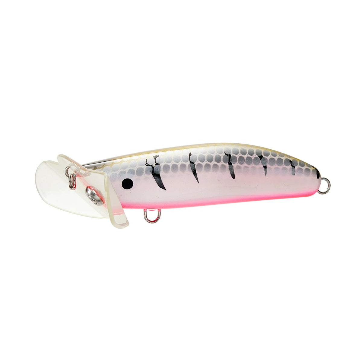 LIVE NATIVE LURES SKUTTLEBUTT 120 COLOUR WITCHITI