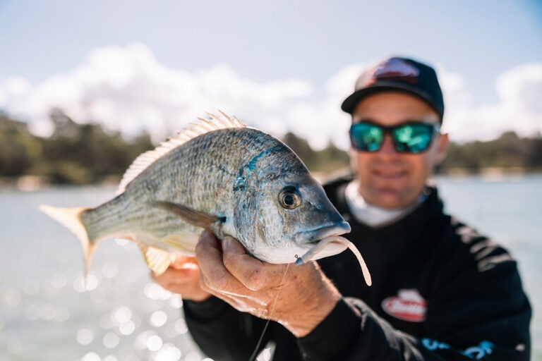 BERKLEY POWERBAIT MAXSCENT D-WORM 3.6 INCH - COLOUR: JUNEBUG RED