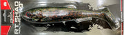 MOLIX REAL THING SHAD 9" - COLOUR: #641 SILVIS DARKSIDE