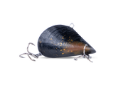 RIFT DESIGN MUSSEL MANIA 32MM 4G COLOUR AMBER BLACK