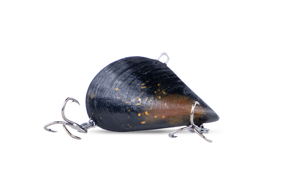 RIFT DESIGN MUSSEL MANIA 32MM 4G COLOUR AMBER BLACK