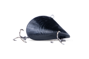 RIFT DESIGN MUSSEL MANIA 32MM 4G COLOUR JET BLACK