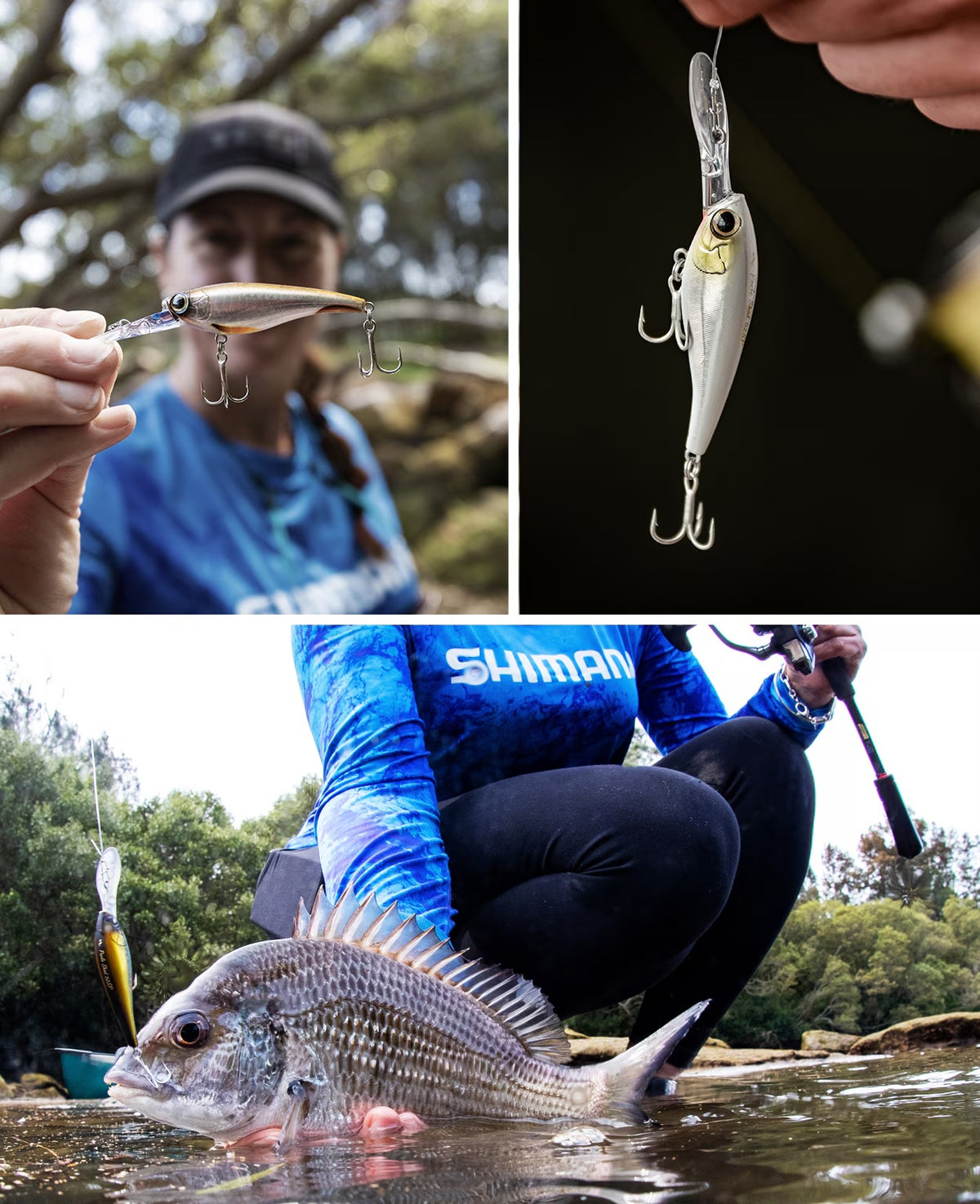 SHIMANO BANTAM PAVLO SHAD 52SP - COLOUR: 004 LIME CHARTREUSE