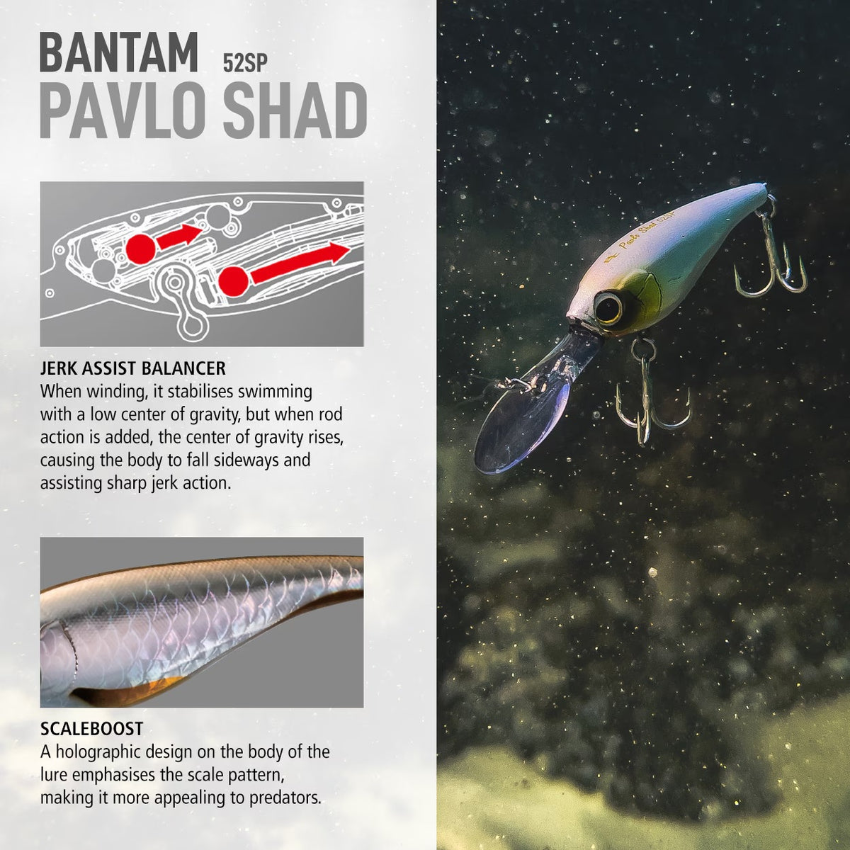 SHIMANO BANTAM PAVLO SHAD 52SP - COLOUR: 004 LIME CHARTREUSE