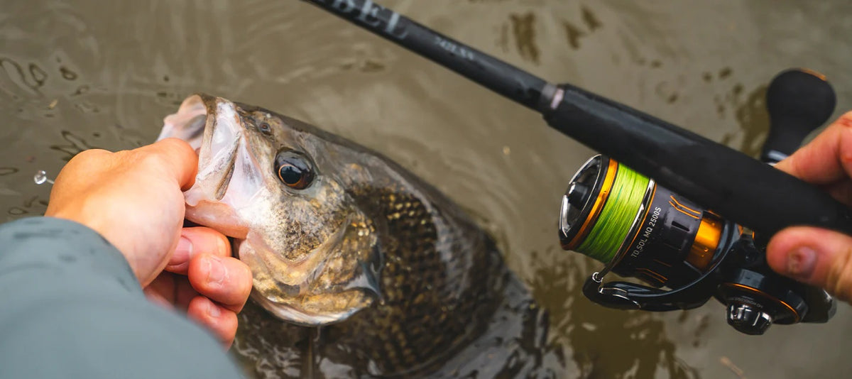 DAIWA DOUBLE CLUTCH 95 MONSTER TUNE COLOUR LAZER BLACK/GOLD
