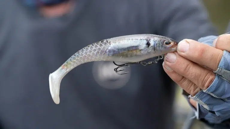 BERKLEY POWERBAIT CULLSHAD 6 INCH - COLOUR: GHOST MORNING DAWN