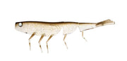DAIWA BAIT JUNKIE PRAWN 4 INCH - COLOUR: 68 ELECTRIC SHAD