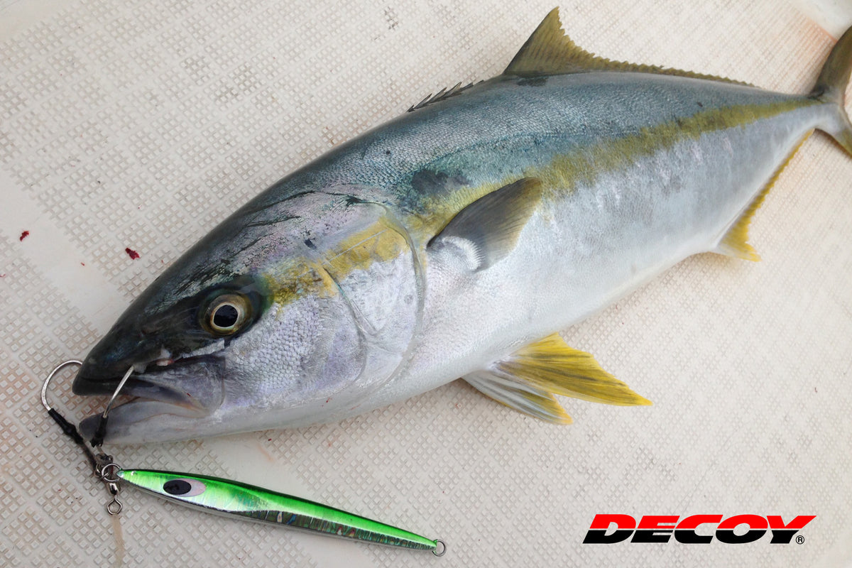 DECOY TWIN PIKE DJ-88 - #2/0