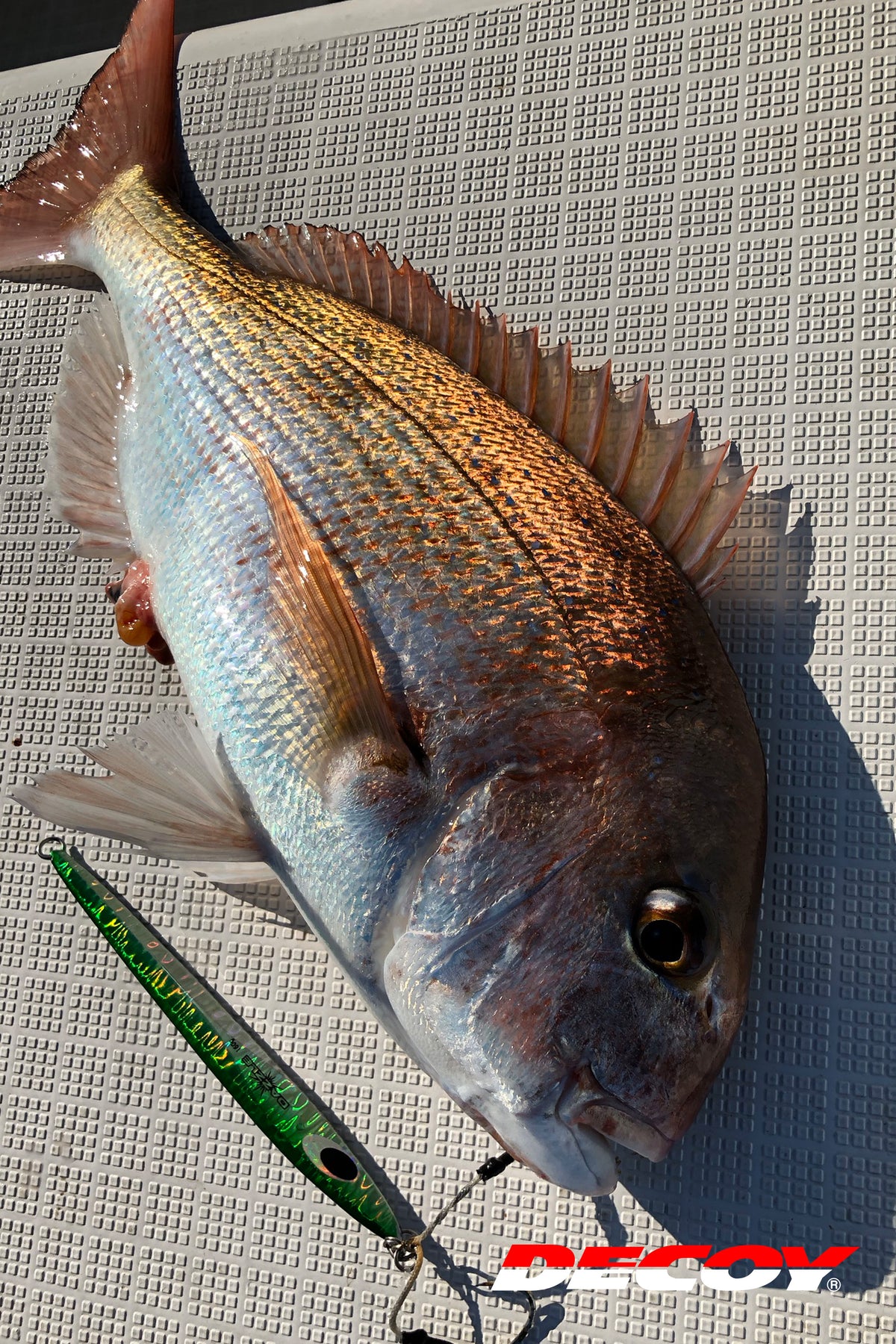DECOY TWIN PIKE DJ-88 - #2/0