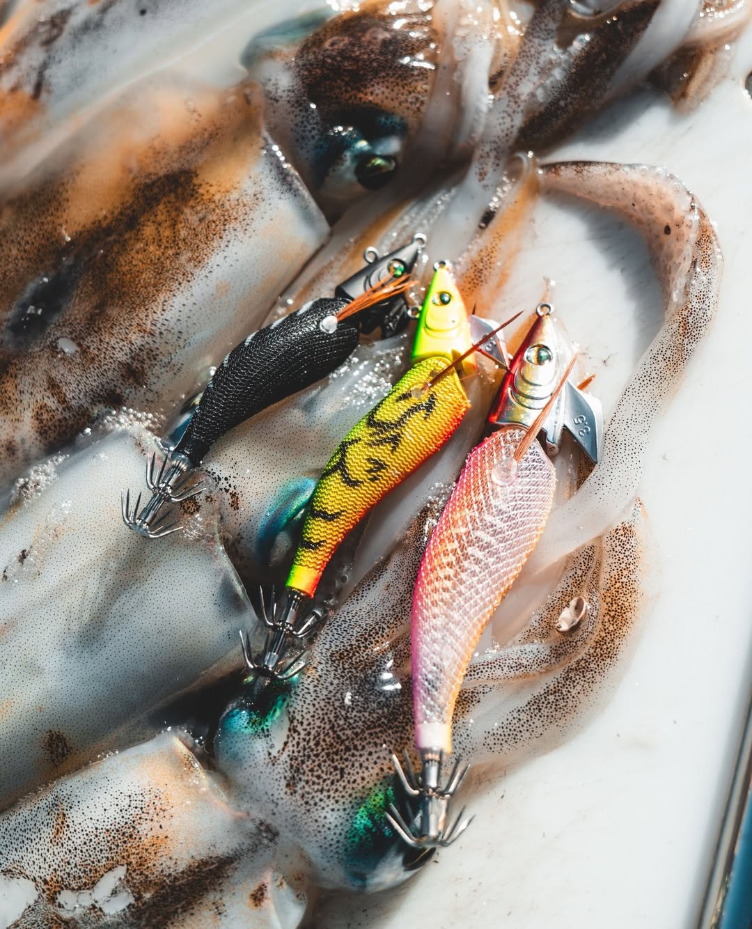 Lures